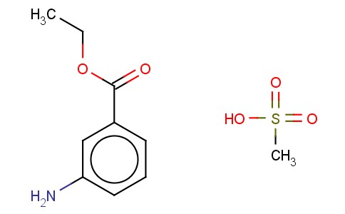 TRICAINE METHANESULFONATE